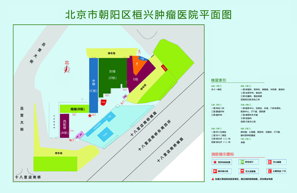 欧美大黑鸡巴视频操逼北京市朝阳区桓兴肿瘤医院平面图